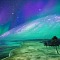 Palms and Stars