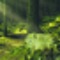 Deep forest