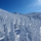 Ice World