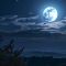 Soft Light, Quiet Night