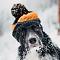  雪の中で遊ぶ