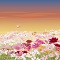 Early autumn