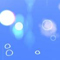 瑠璃の鳴る夜に