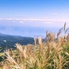 時果ての野