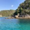 Napper's Island