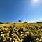 Solar Day