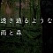 透き通るような雨と森