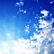 Bright Sky