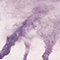 Smoky Ash