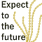 Expect to the future