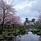 Cloudy Japan