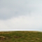traditional Hill