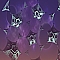 Deep Colony