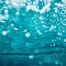 Aquatic Reverie