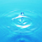 Water drop