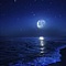 Tranquil Night