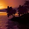 Paradise Nights
