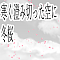 寒く澄み切った空に冬桜