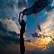Silhouette