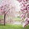 Spring Dance