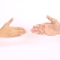 君の手のひら