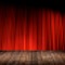 奇術師のカーテン