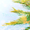Toropical noon