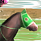 重賞ドリームレース　High Stakes