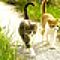 Take a walk