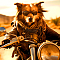 WILD RIDERS