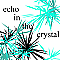 echo in the crystal 