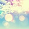 Daydream