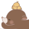 ほんわかころころ