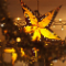 オシャレ楽しいクリスマス