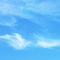 To Fly High