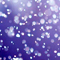 静かな雪の奏