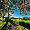 Autumn Meadow