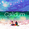 Calidum
