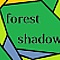 forest shadow