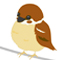 Sparrow Step