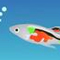 Guppy Friends