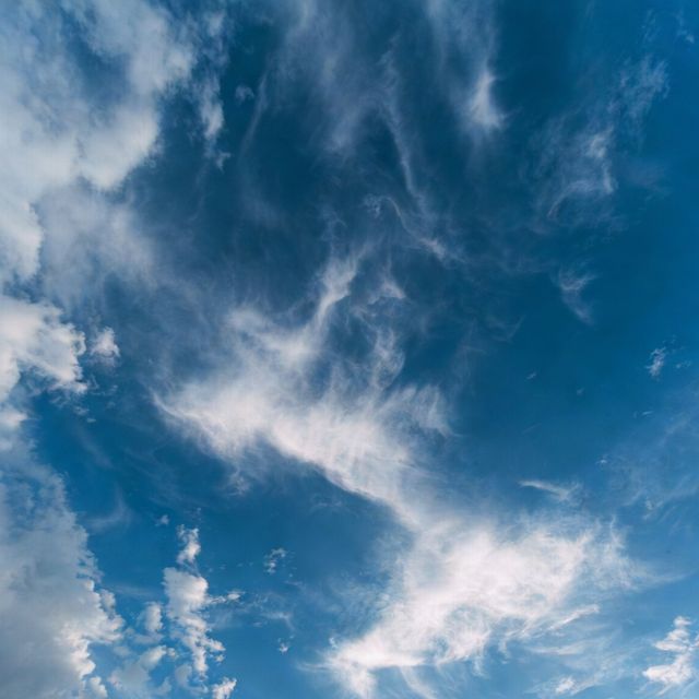 Freedom in the Blue