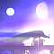 moonlight