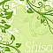 Shiso