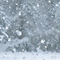 白雪の街