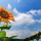 そういう夏ばっかりだった