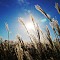 Bright Beginnings