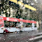 Happy Rain