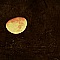 Under the Moon
