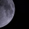Rubbish Dance On The Moon